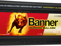 running_bull_agm_592_01