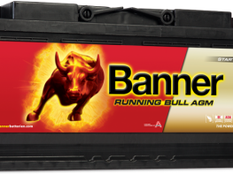 running_bull_agm_605_01